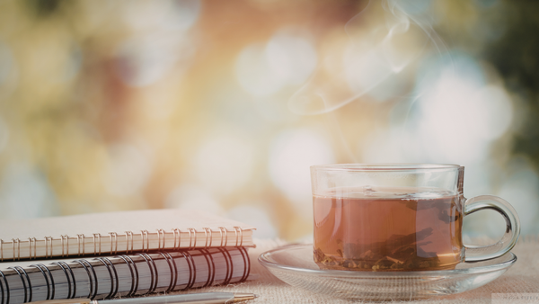 NERVOUS SYSTEM RESET MENU